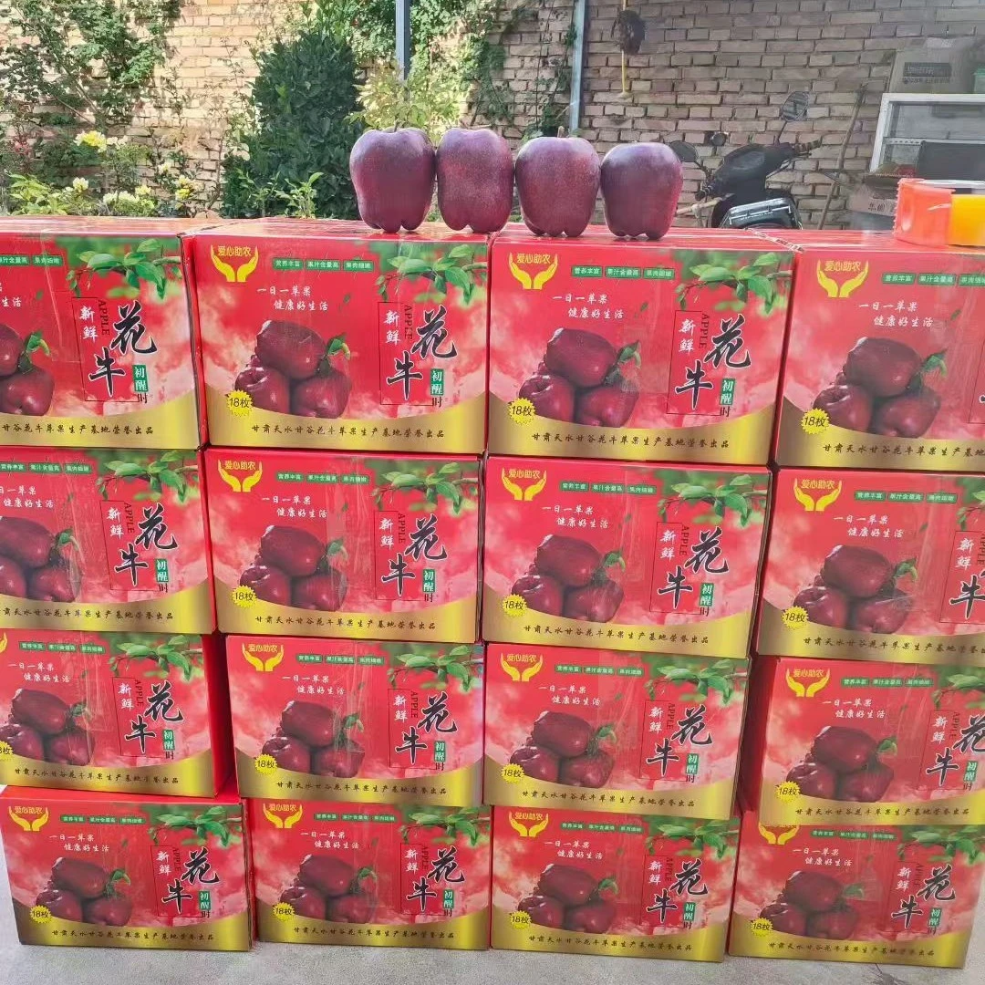 甘肃天水花牛苹果当季新鲜水果包邮正宗