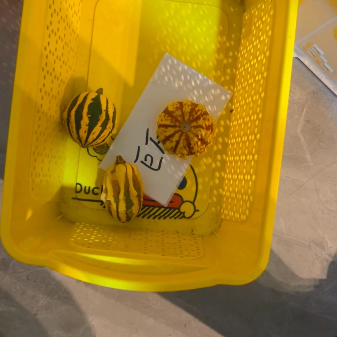 【闪购商品】风***石哈哈哈哈哈哈哈哈哈哈