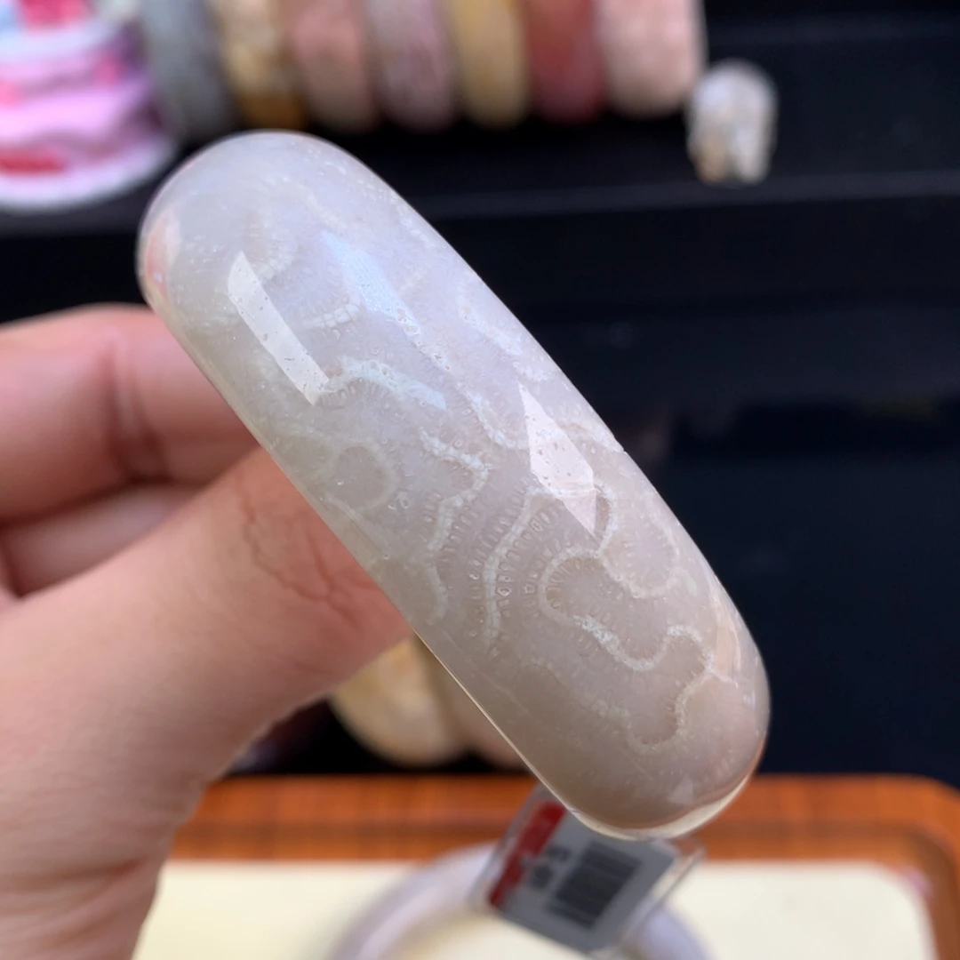 硅化珊瑚（珊瑚玉）未镶嵌颈饰110号蜈蚣脑纹51.5圈