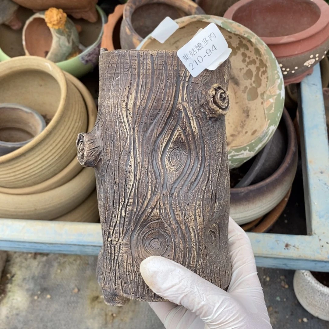 ?***?94号多肉盆一个呀