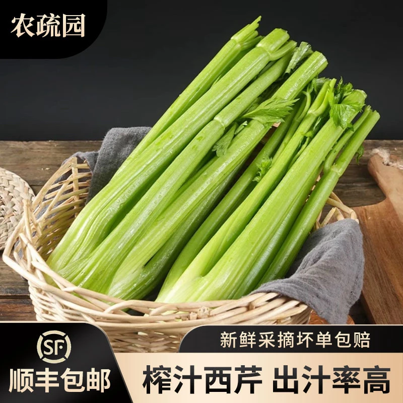 【顺丰包邮】生吃榨汁西芹现挖现发脆嫩多汁3/5斤榨汁水果西芹
