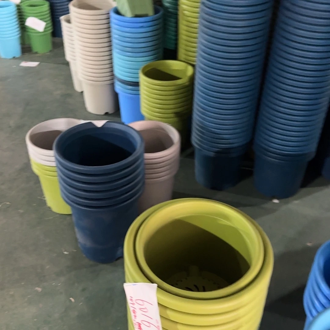 树脂四季4号无托5个白色