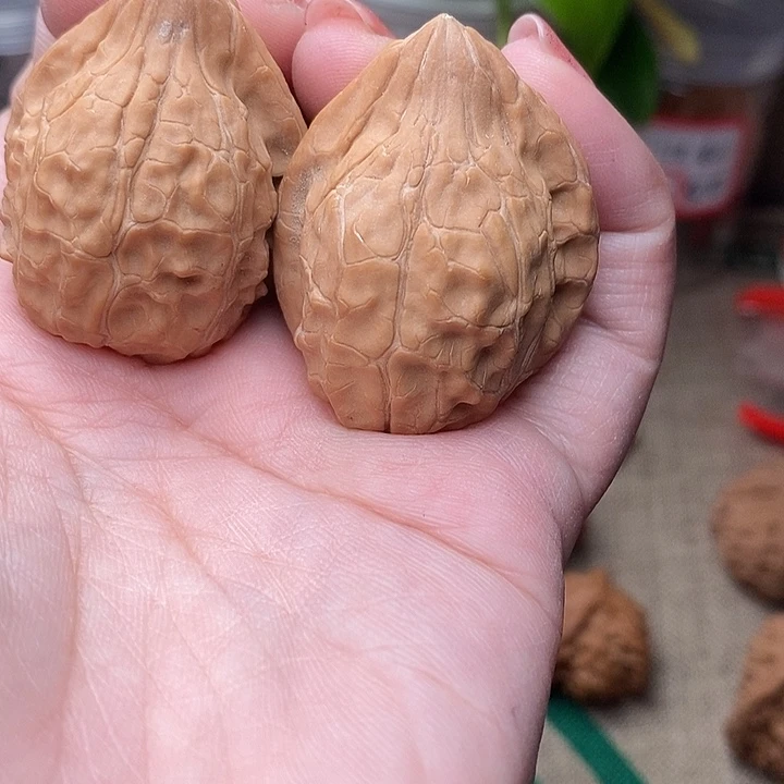 文玩核桃吊坠龟甲纹