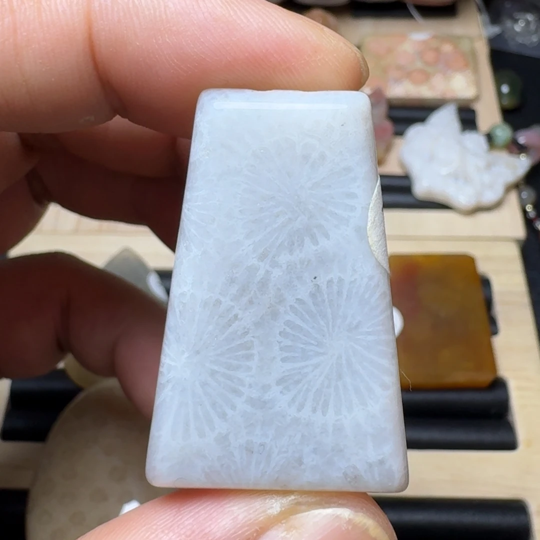 未镶嵌纯天然色有机玉石保真色硅化玉