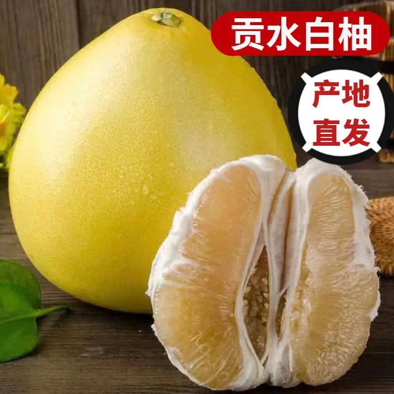 湖北宣恩高罗贡水白柚脆嫩甘甜4一5斤