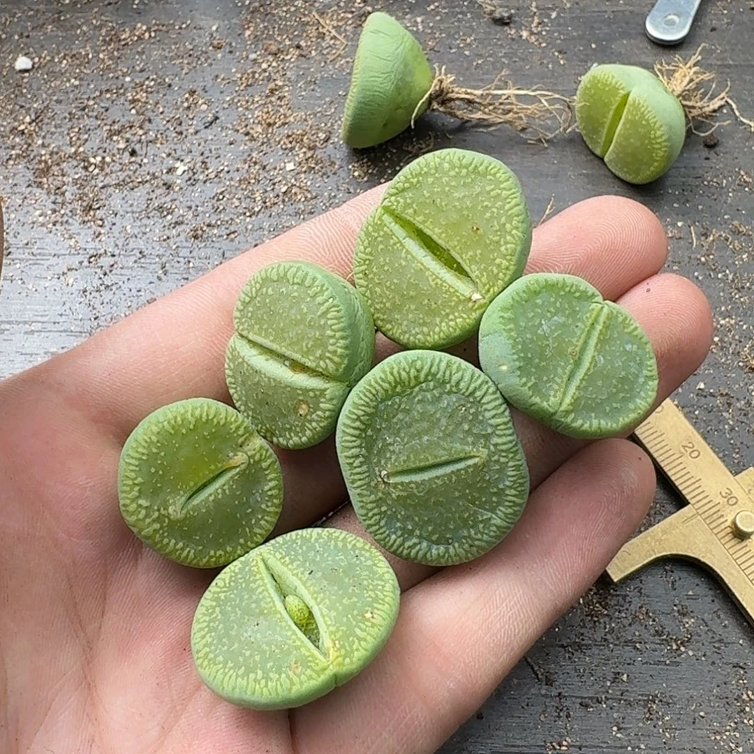 陈***希448 哈哈哈哈哈哈哈哈哈哈哈哈哈哈