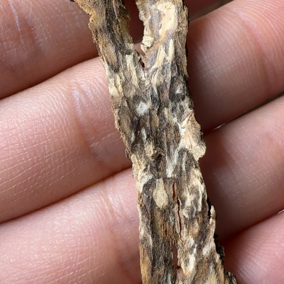 沉香沉香碎屑高州虎斑棋0.69克