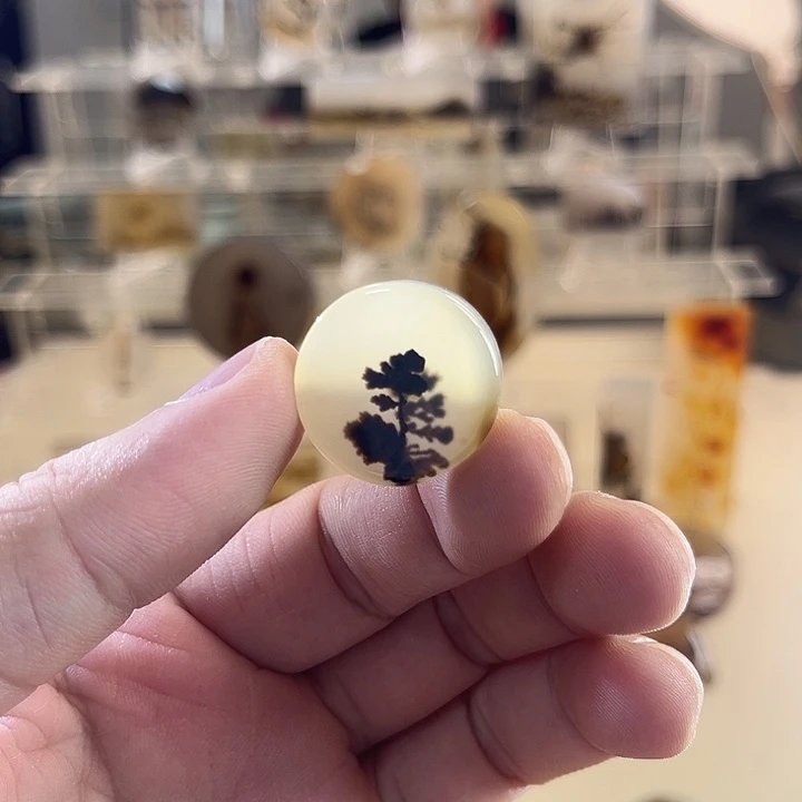 未镶嵌吊坠(不含链)玛瑙/玉髓