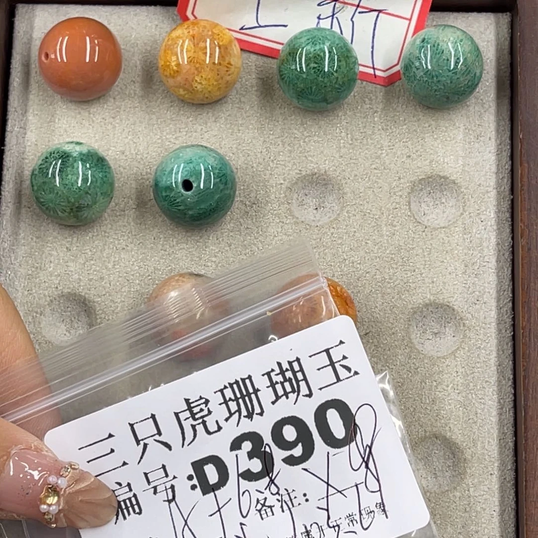 t***e未镶嵌h硅化珊瑚（珊瑚玉）