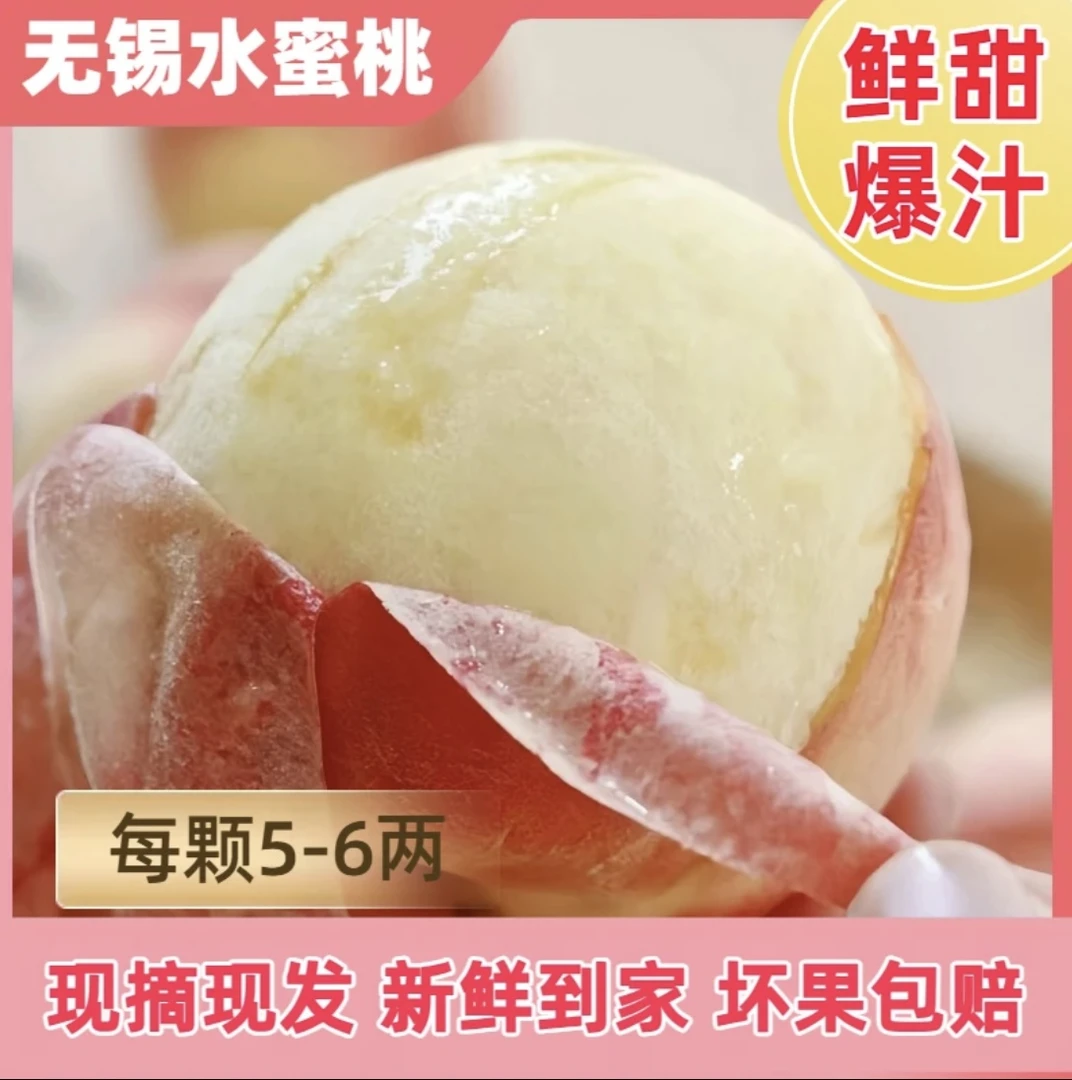 【贡品级巨无霸】6-5两无锡阳山水蜜桃 新鲜现采 夏日应季水果