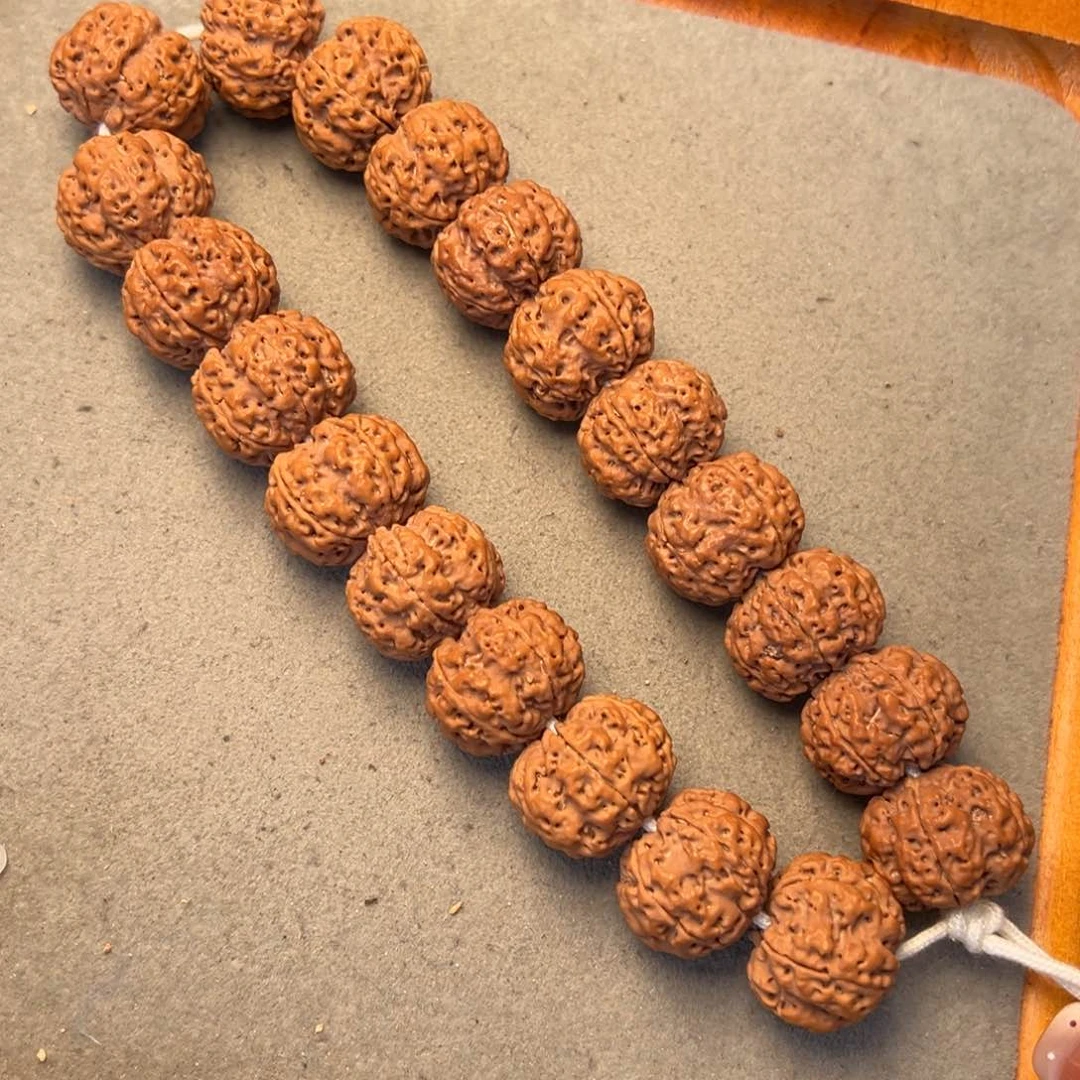 菩提5号金刚菩提满肉梅花21+