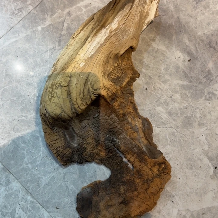 老***史香榧木崖柏啊啊啊啊