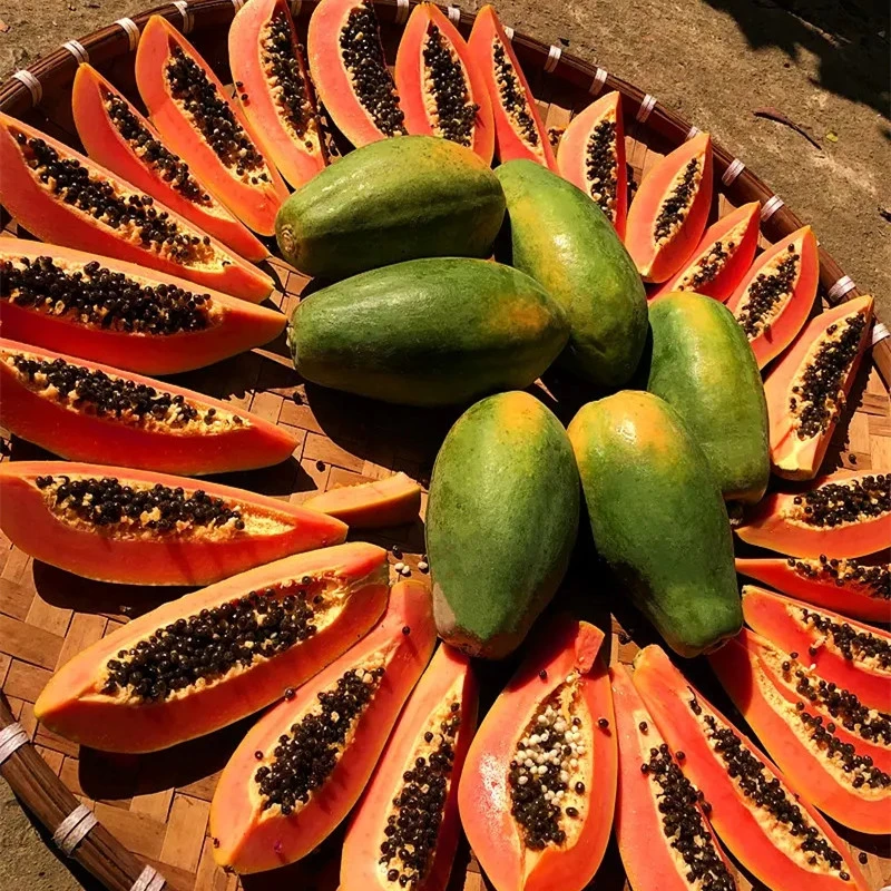 【树上自然熟】云南冰糖红心木瓜口感清甜细腻多汁现摘现发包邮