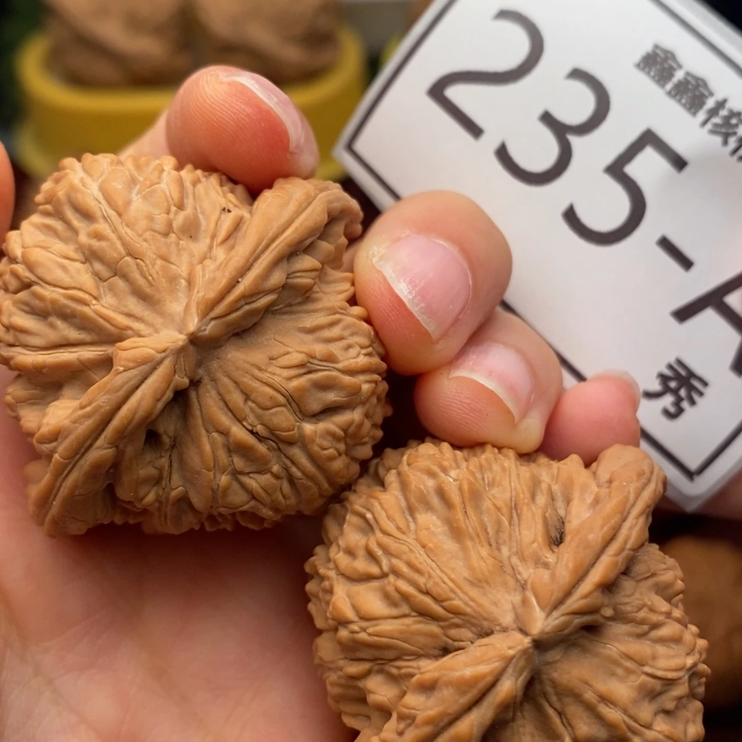 文玩核桃把件白狮子42……