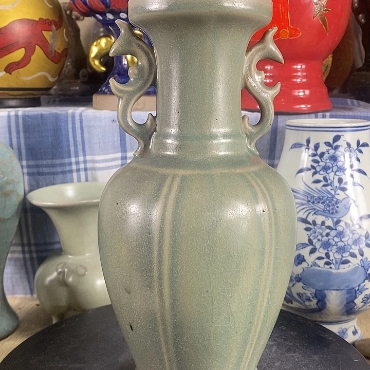 陶泽如花儿盛开了