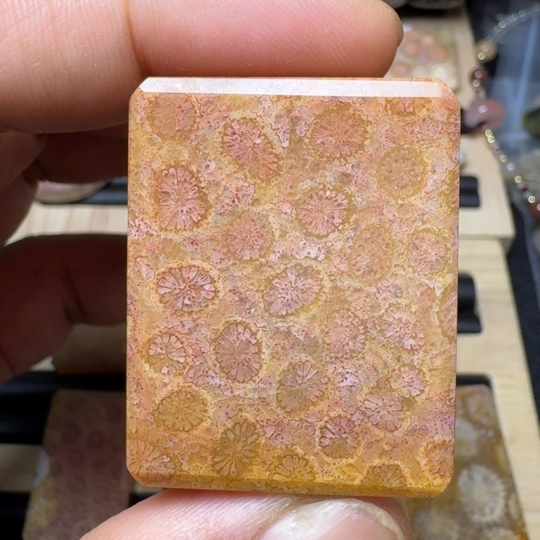 未镶嵌纯天然色有机玉石保真色硅化玉