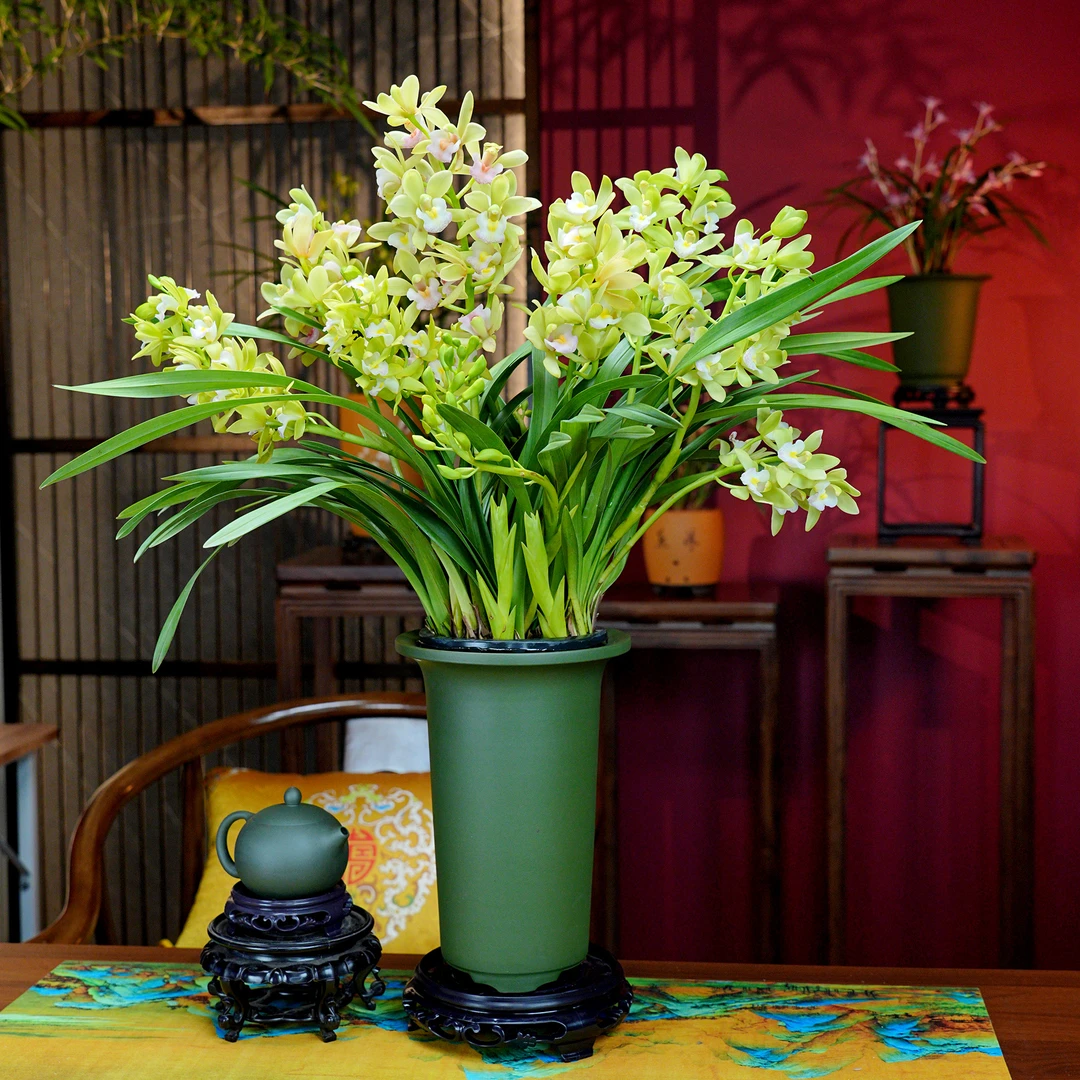 蕙兰铭品【蓝月香兰】带多花苞兰花 宜兴民国绿泥 紫砂盆