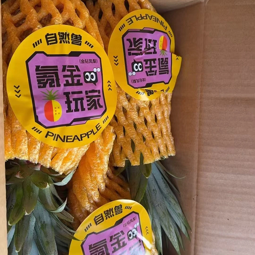 氪金玩家凤梨3头装