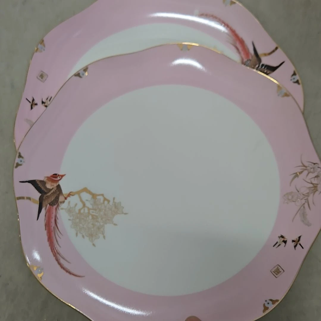 碗微瑕奥维10寸2个大盘666666