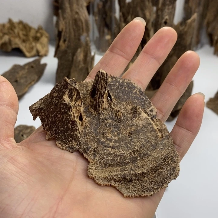 深圳黑油老顶11克