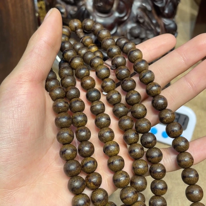 蔡***沅木海南海南海南海南