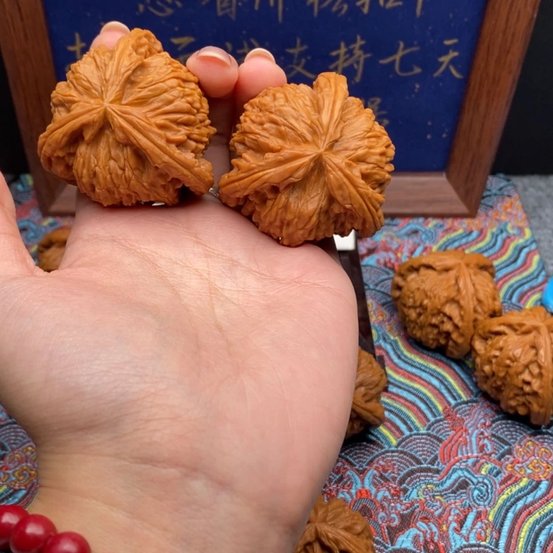 【闪购商品】小*白狮