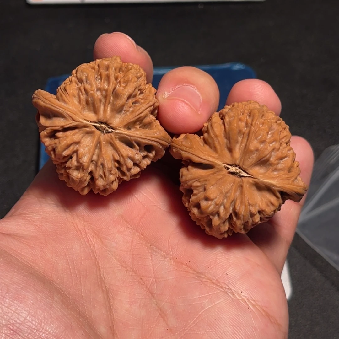 41全家福红皮南疆克重47