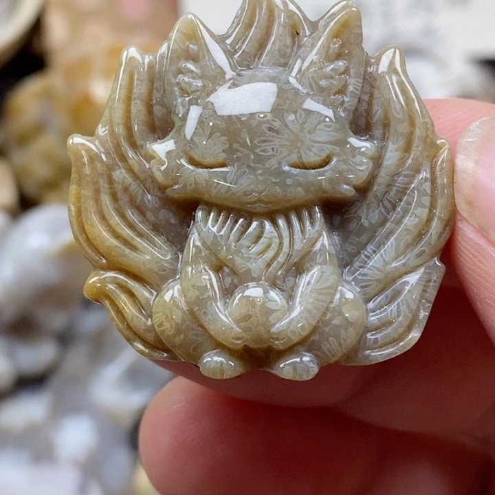 颈饰未镶嵌硅化珊瑚（珊瑚玉）小