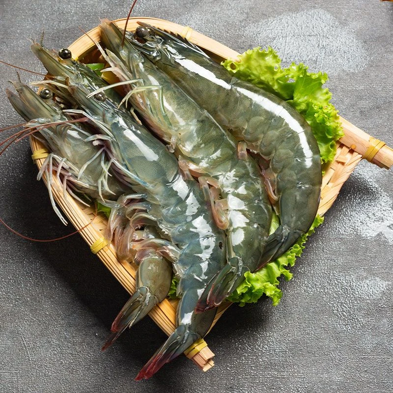 【海水大虾拍3斤送1斤】肉质鲜甜脆嫩 大个头海水大虾 单只15-18cm一盒4斤50-60只S