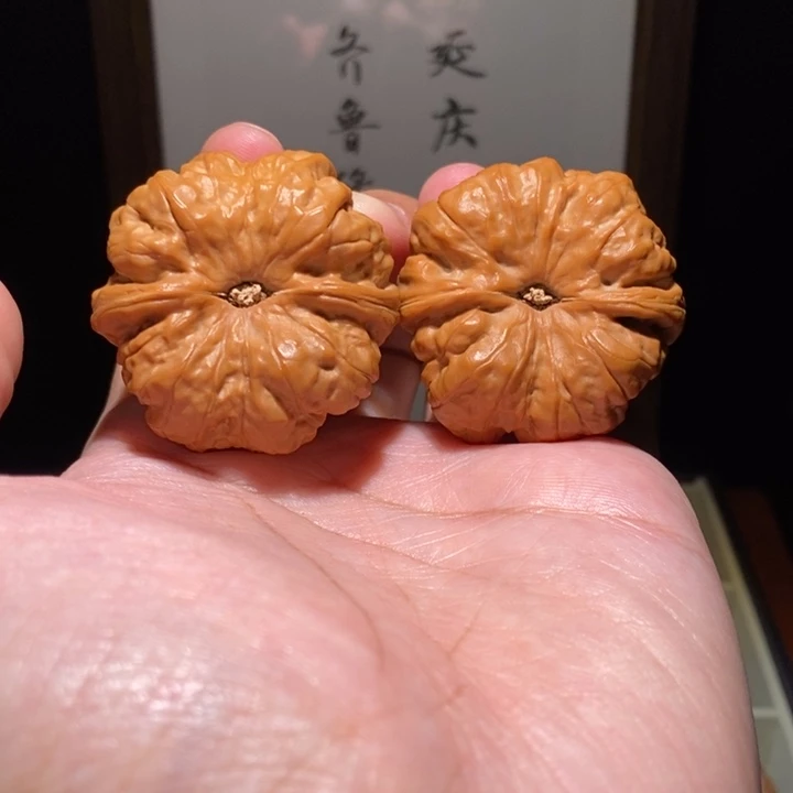 核桃手串/手链栾*蛤蟆头