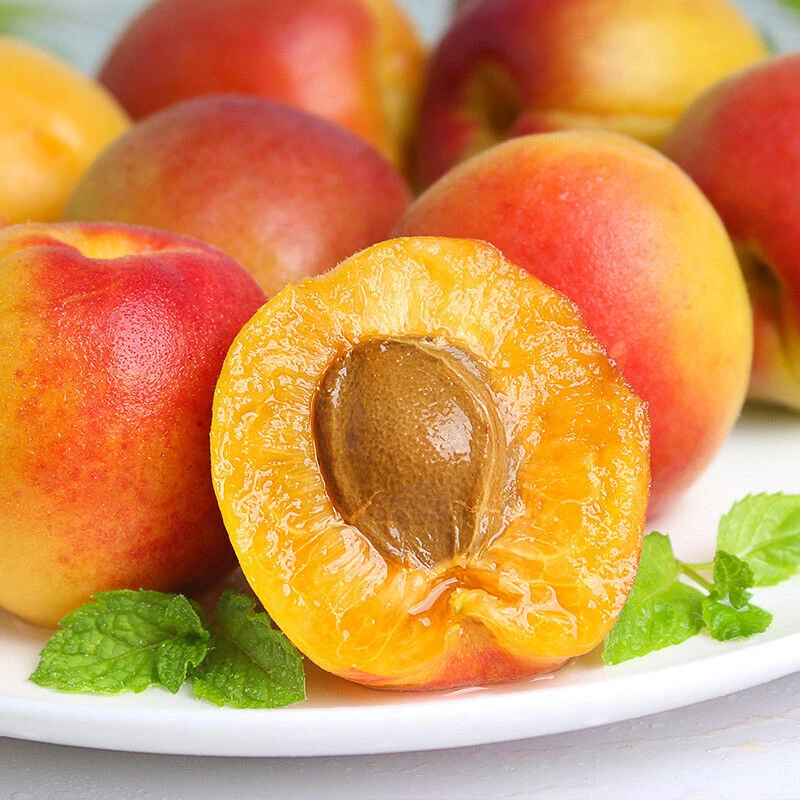 2025陕西胭脂红杏  2/4斤   当季新鲜杏子孕妇水果酸甜整箱