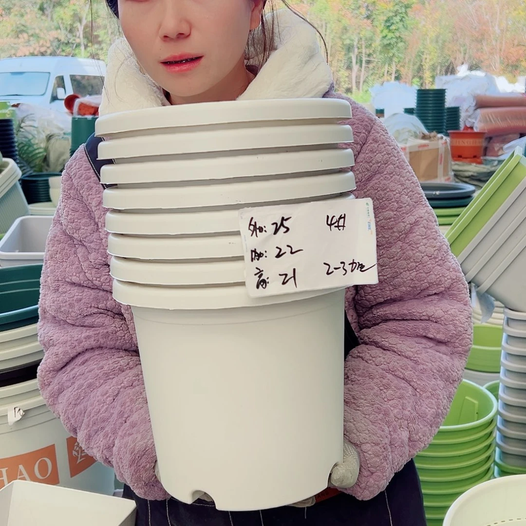 四季盆4#白色8个无托