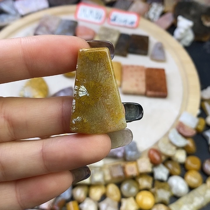 针钠钙石（海纹石）未镶嵌颈饰