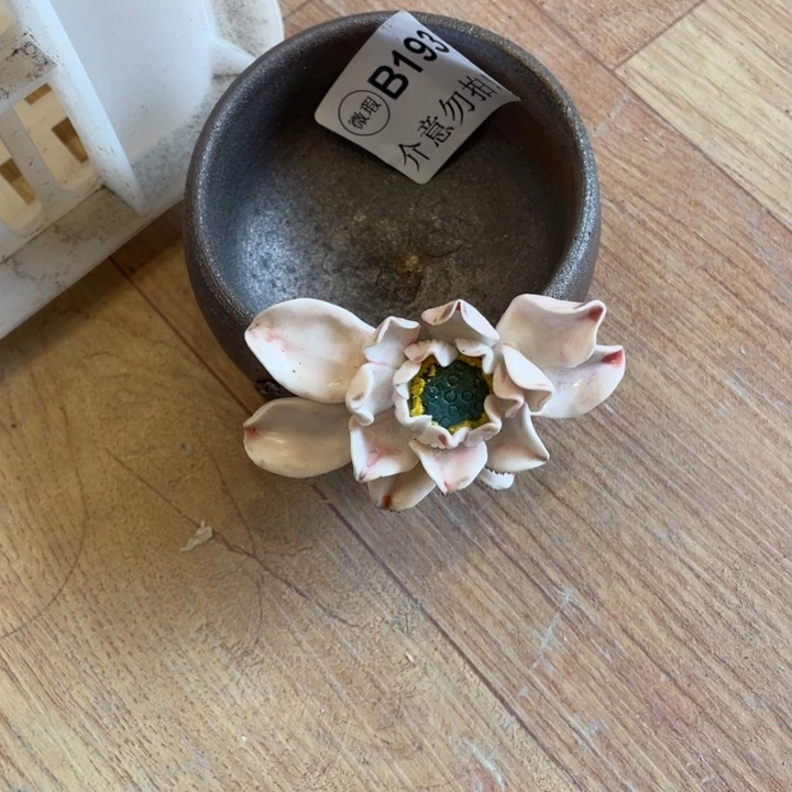 手工制作陶瓷茶具茶杯青蛙