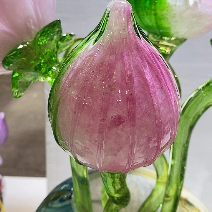 荷花花苞高45厘米左右