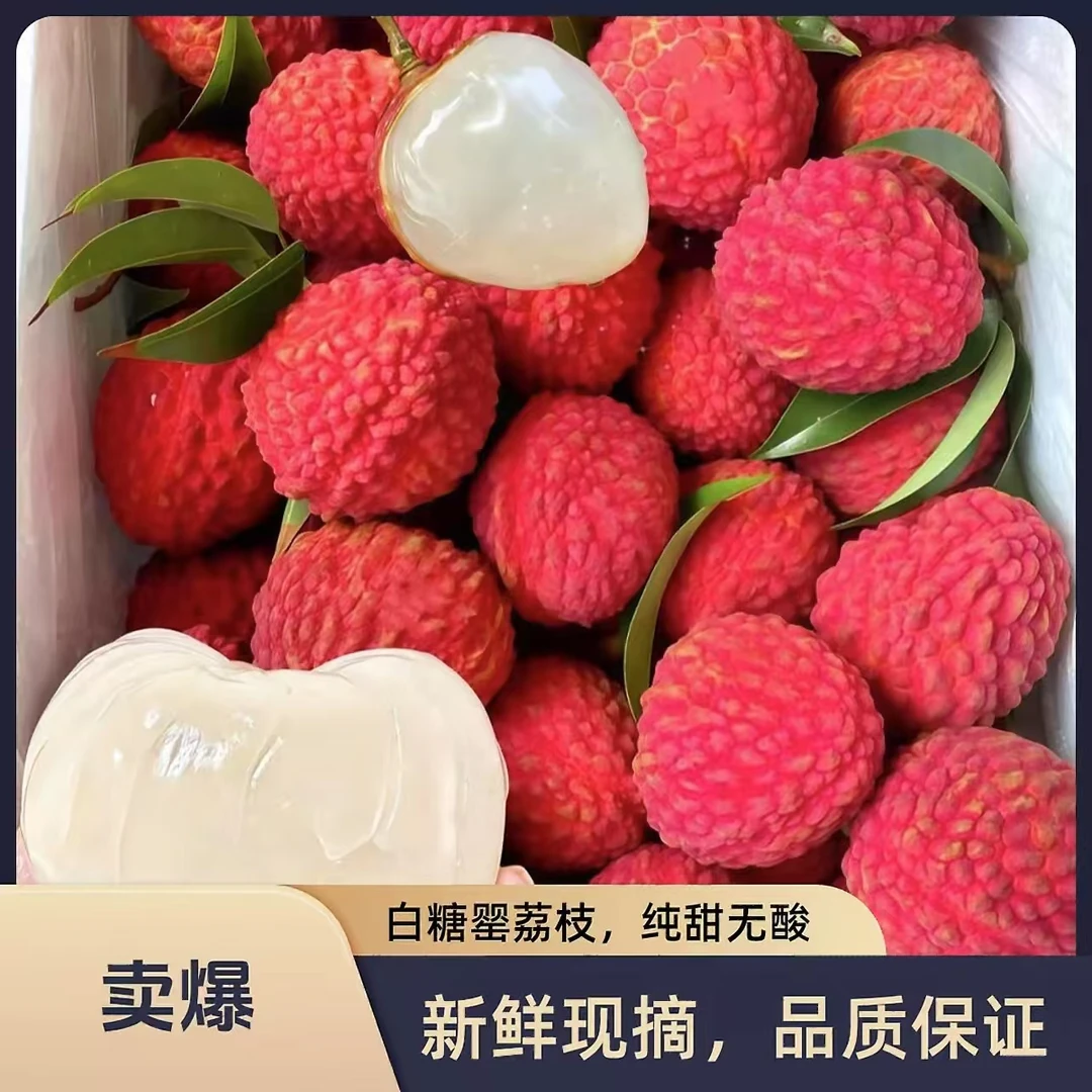 N【圆通/顺丰/京东冷链】白糖罂荔枝新鲜水果当季整箱现货冷链打包