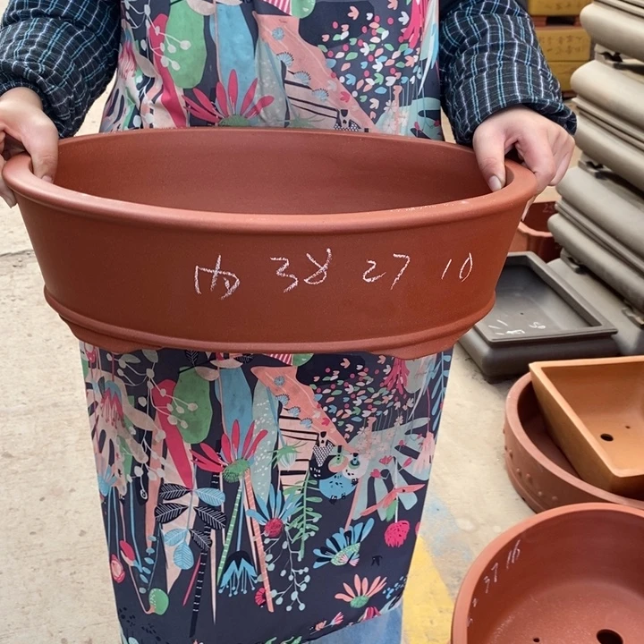 花盆紫砂只顾吃药睡一
