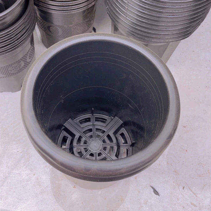 黑万象口21高22一组6个