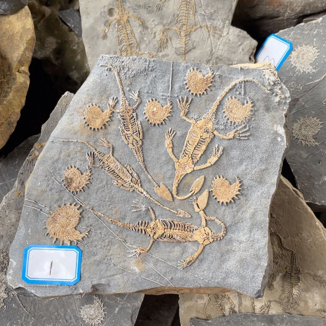 石材11111111111111111111111111