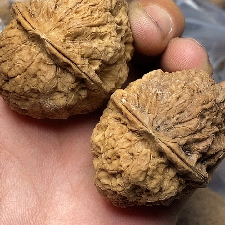 文玩核桃把件云南志成云铁51