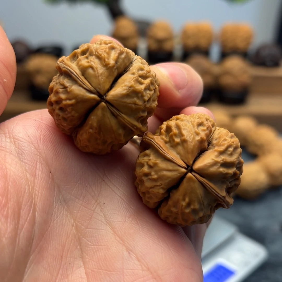 文玩核桃把件铁核桃12-29