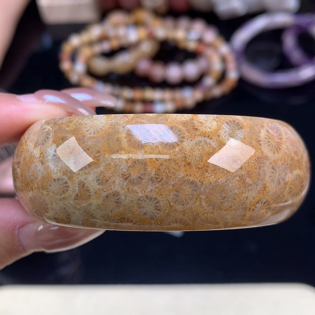 【闪购商品】颈饰未镶嵌硅化珊瑚（珊瑚玉）好漏52.6（52号）