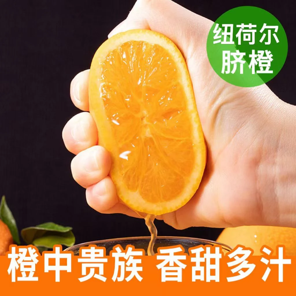 正宗秭归纽荷尔脐橙新鲜现摘清甜可口当季水果孕妇小孩