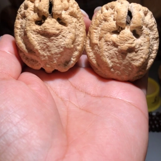 橄榄核吊坠乾坤鬼脸42