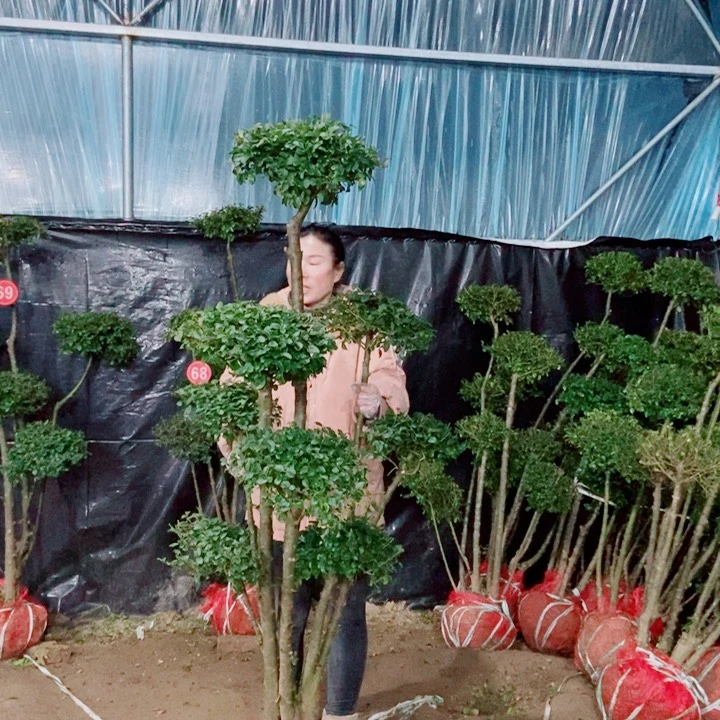 一物一图一物一拍