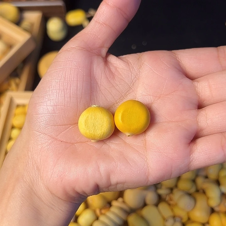 F***a大叶紫檀（黑酸枝木类）