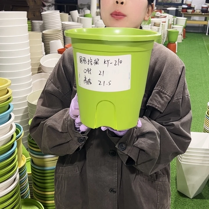 正品圆控口21高21果绿8只无托