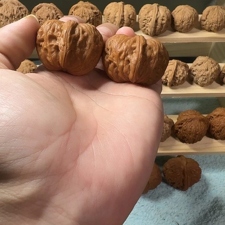 穆***.文玩核桃吊坠微修元宝