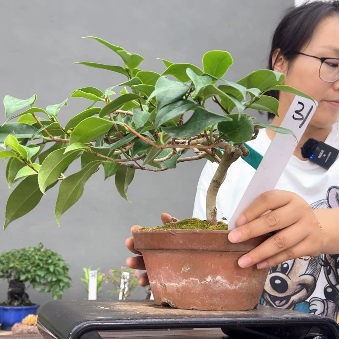 逸****31顺丰到付。