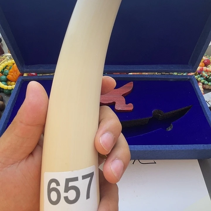 非洲紫檀（红花梨）657